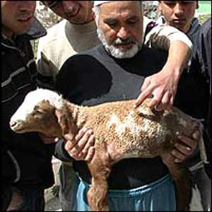 arkhourane