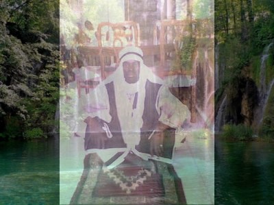 mohamed  dia