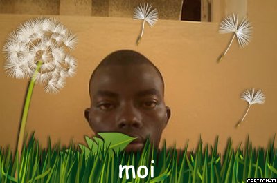 mohamed dia